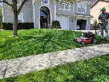 Pristine Cuts Mowing LLC photo 3