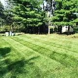 Western Landscape LLC photo 6