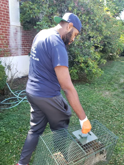 AGJ PEST CONTROL photo 1