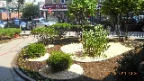 Manhattan Landscape Company photo 2