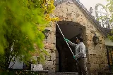 Greenix Pest Control photo 4