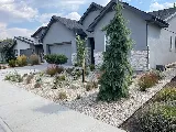 TLC Landscape