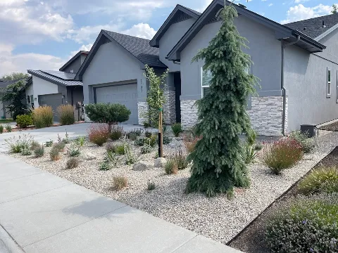 TLC Landscape photo 1