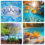 Les Pool Boys photo 2
