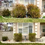 Outdoors Men Landscaping LLC photo 7