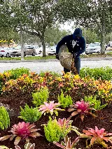 Elegance Landscaping photo 4