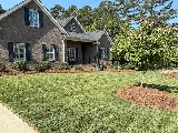 The Pine Needle Man photo 3