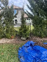 Mabie's Lawn & Landscaping LLC photo 6