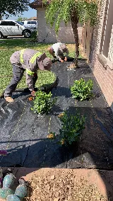 Unique Lawn Care photo 6