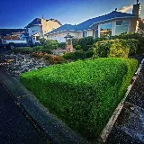 Upscaled Yard & Gardens