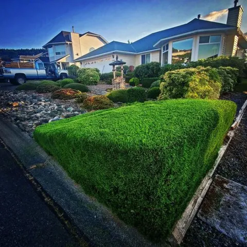 Upscaled Yard & Gardens photo 1