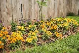 Lawn Care Solutions photo 6
