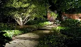 San Antonio Landscaping Services photo 8