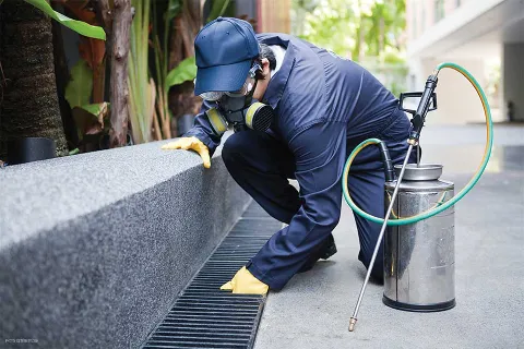 Premier Pest Control & Outdoor Solutions, LLC photo 1