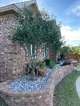 Legacy Lawn & Landscaping photo 3