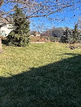 Kuta Lawn and Landscape LLC photo 4