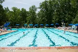 Mosquito Mob of Wilmington Delaware photo 2