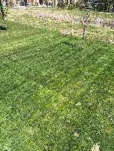 Green Horizons Lawn Care photo 5