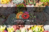 A Fresh Start Gardens LLC