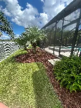 Newscape Lawn care and Landscaping LLC photo 4