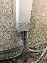 Promax Pest Control Toronto photo 7