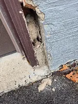 Ultimate Pest Solutions - Pest Control Vaughan photo 6