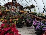 Billings Nursery & Landscaping photo 8