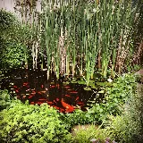 Valley Gardens photo 2