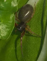 Home-Tite Pest Control & Proofing photo 3