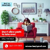 Rat N Roaches Pest Control photo 5