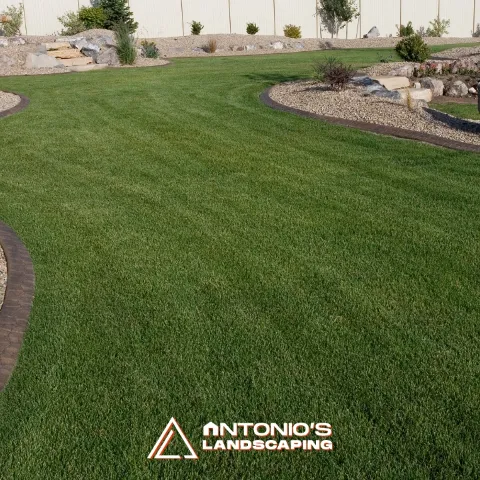 Antonio's Landscaping Llc in Charlottesville