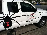 Hydrex Pest Control & Termite Co photo 7