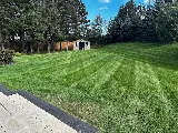 Super Green Lawn Care photo 3