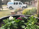 York Landscaping & Irrigation photo 8