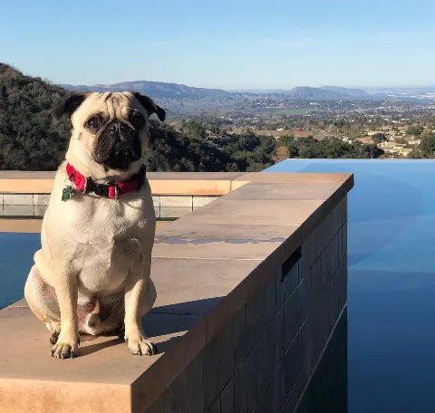 L.A. Custom Pools & Spas, Inc. in Moreno Valley
