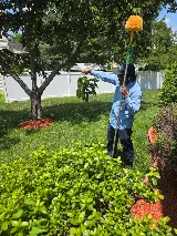 Moxie Pest Control photo 3