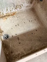 Premier Pest Solutions photo 2