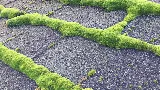 Coastal Roof Cleaning Experts