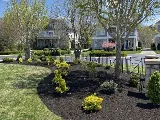 Hancock Landscape LLC