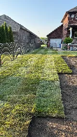 Sod & Beyond Landscaping and Fence photo 2