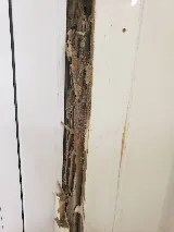 National Exterminating Company Inc photo 2