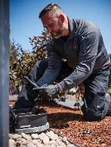 A&A Pest Control photo 7