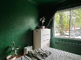 Peintre Pro photo 5