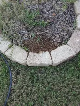Moxie Pest Control photo 8