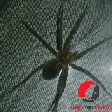 Luke's Pest Control photo 2