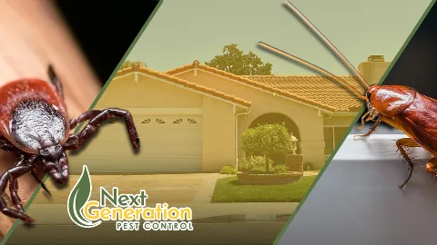 Next Generation Pest Control photo 1