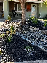 Complete Landscape photo 2