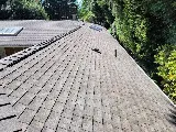 Absolute Roof Solutions photo 3