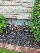 ASM Tuckpointing photo 7