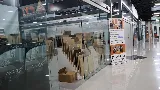 Focus On Flooring & General Contracting photo 6